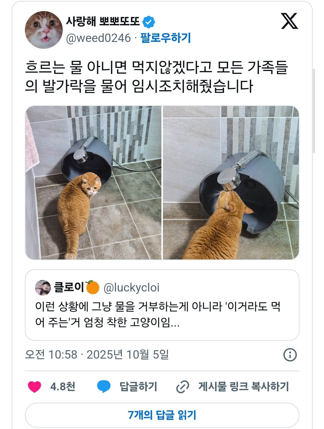 게시물 이미지