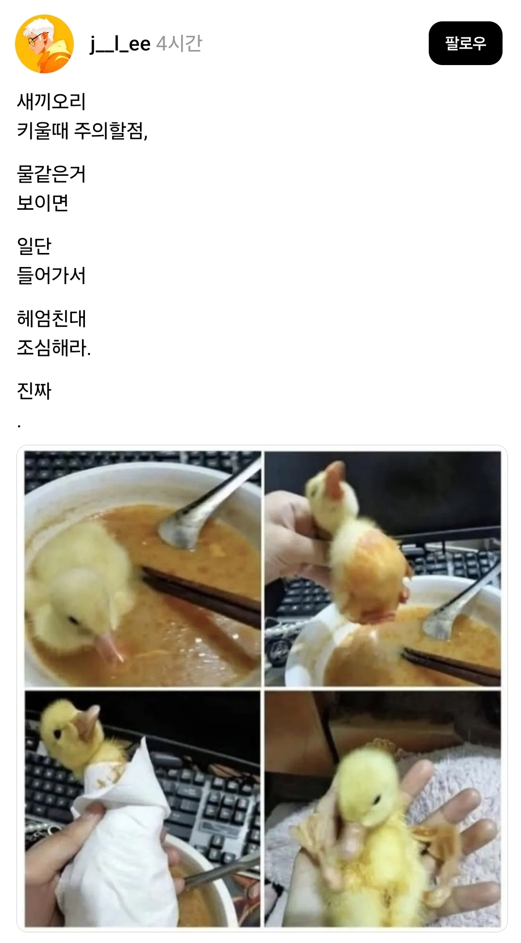 게시물 이미지