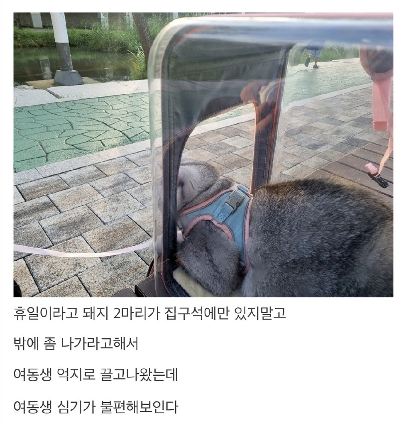 게시물 이미지