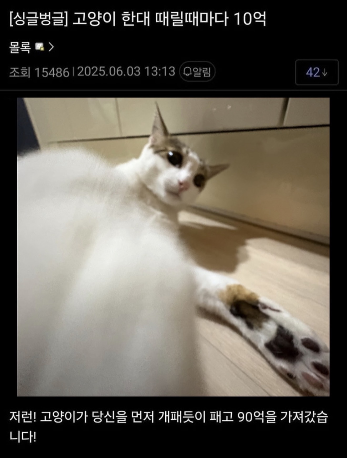 게시물 이미지