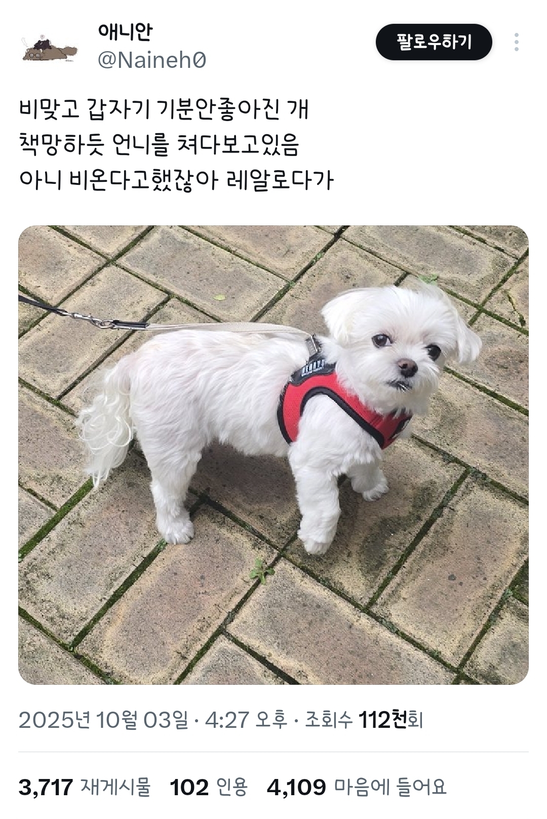 게시물 이미지