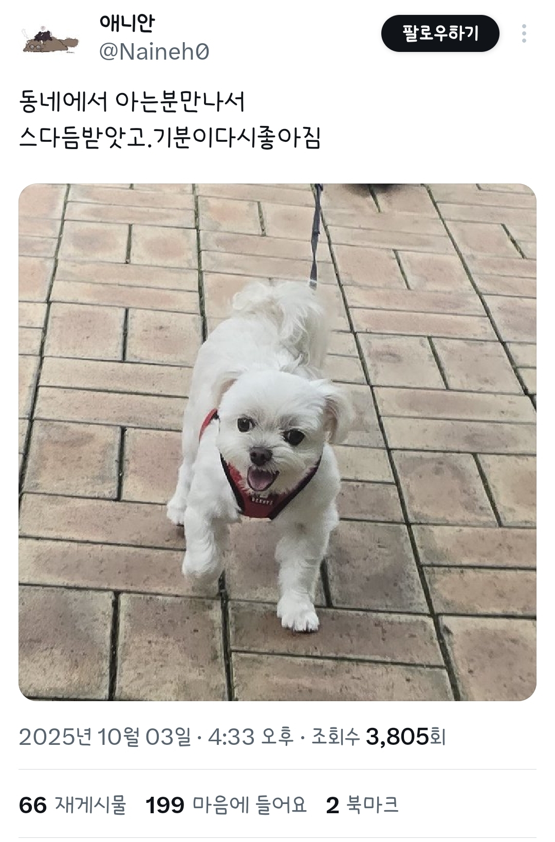 게시물 이미지