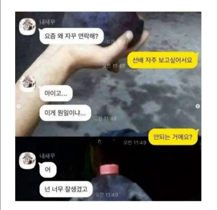 게시물 이미지