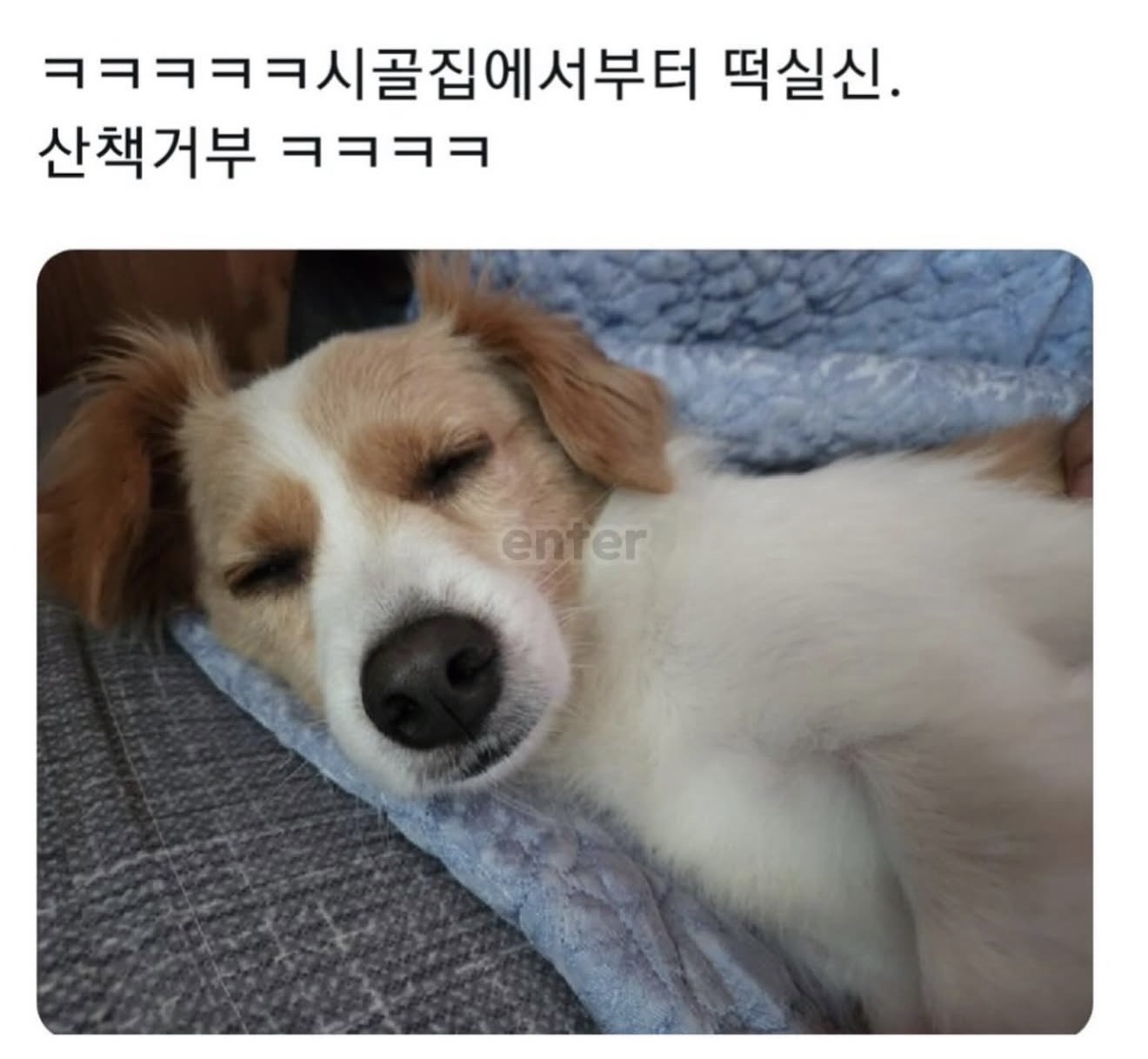 게시물 이미지