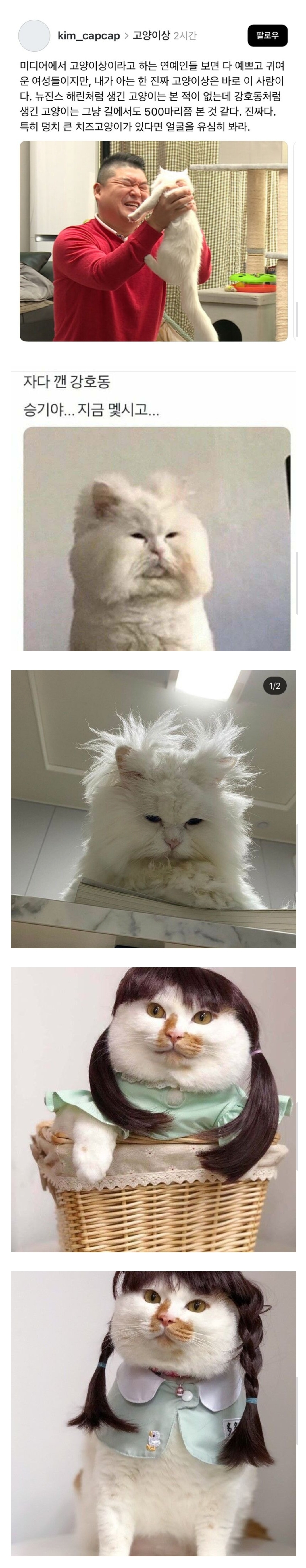 게시물 이미지