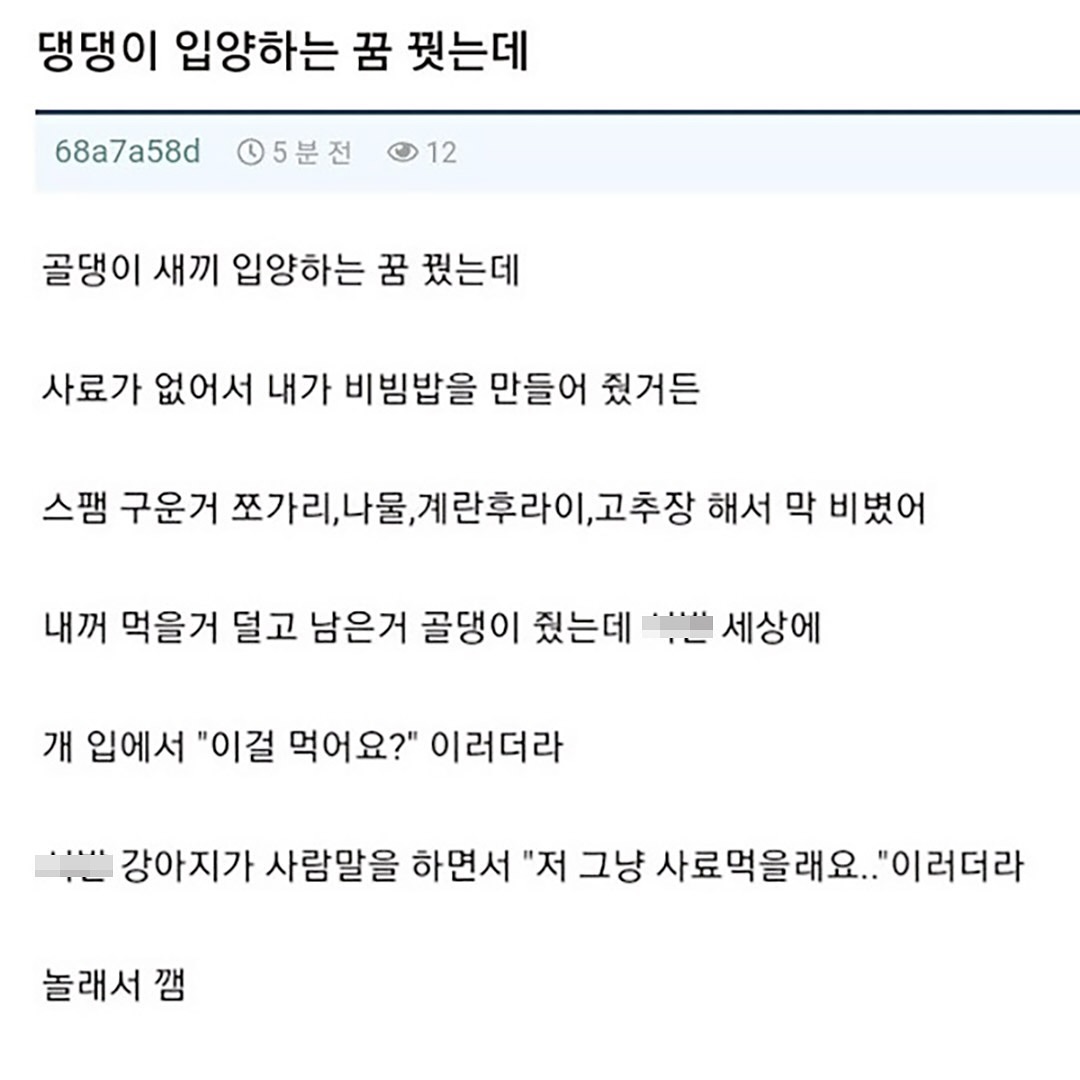 게시물 이미지