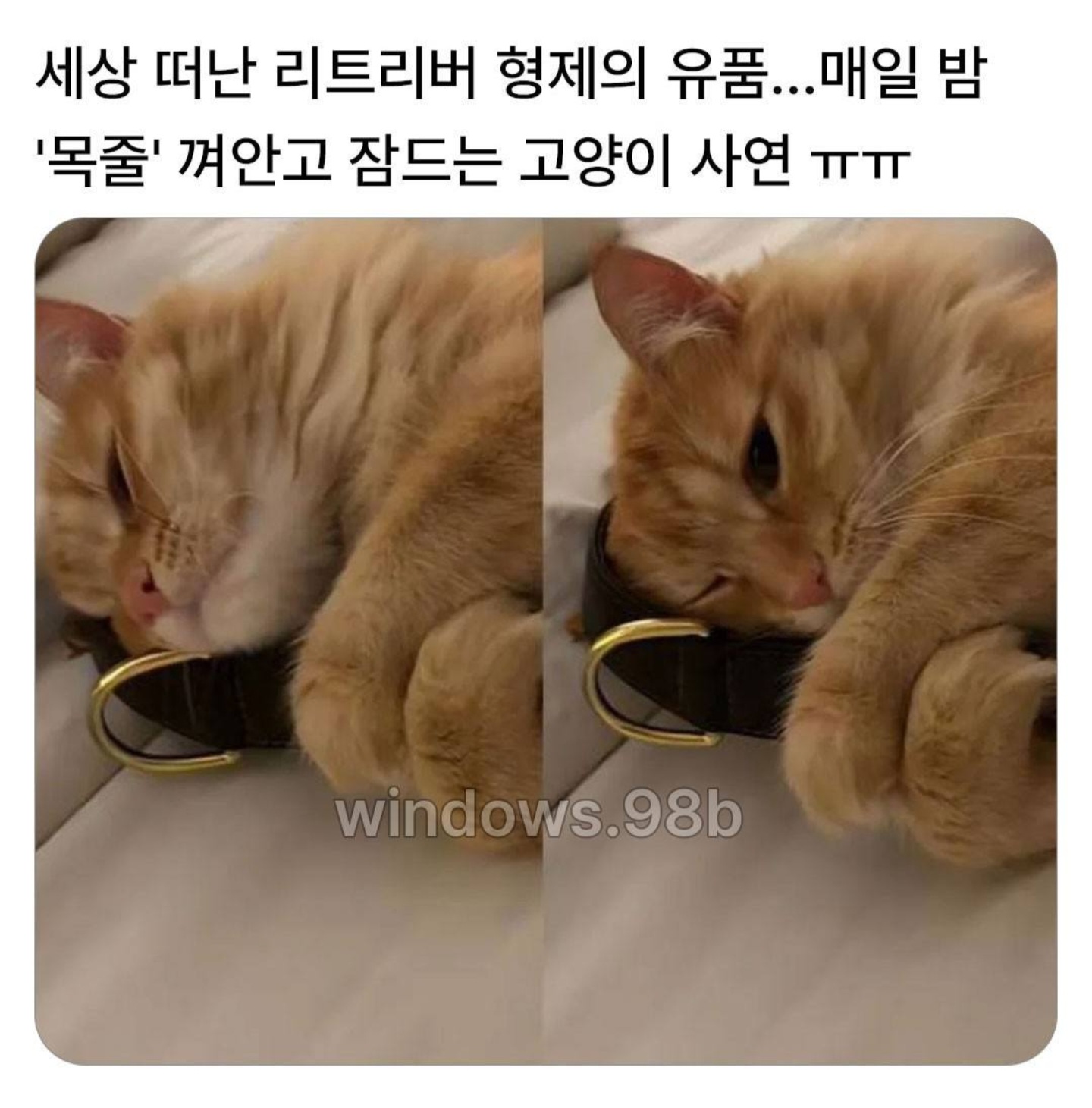 게시물 이미지