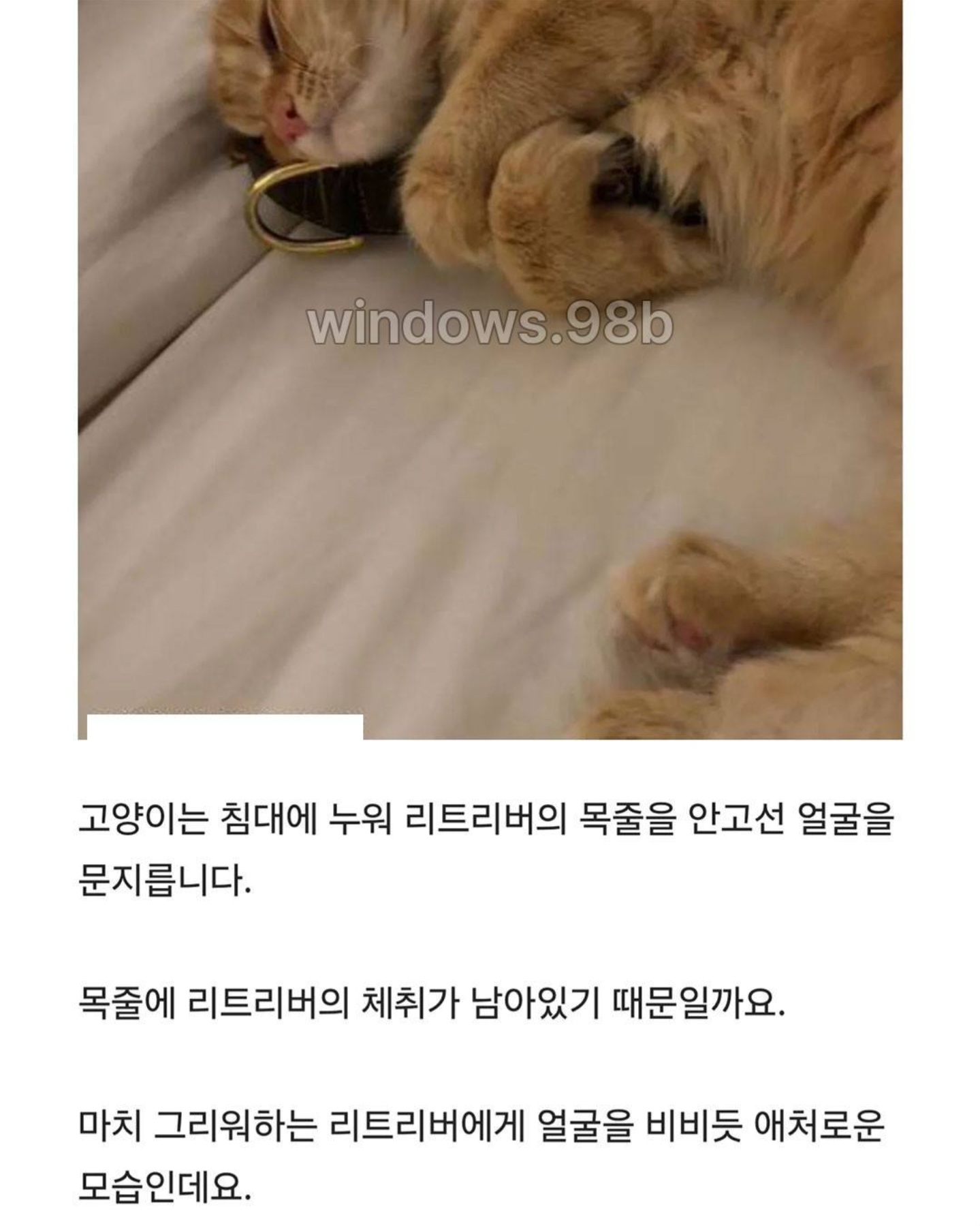 게시물 이미지