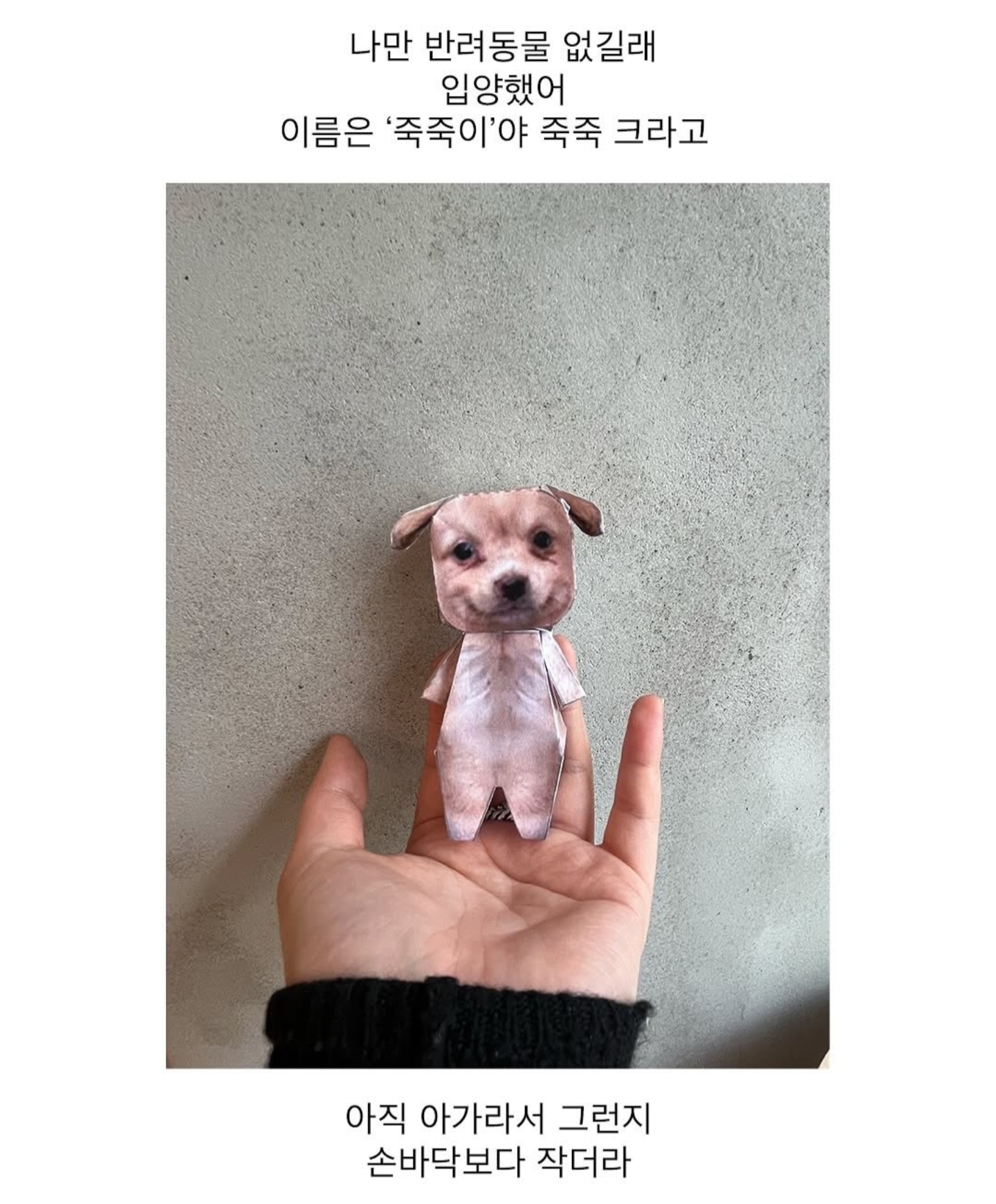 게시물 이미지
