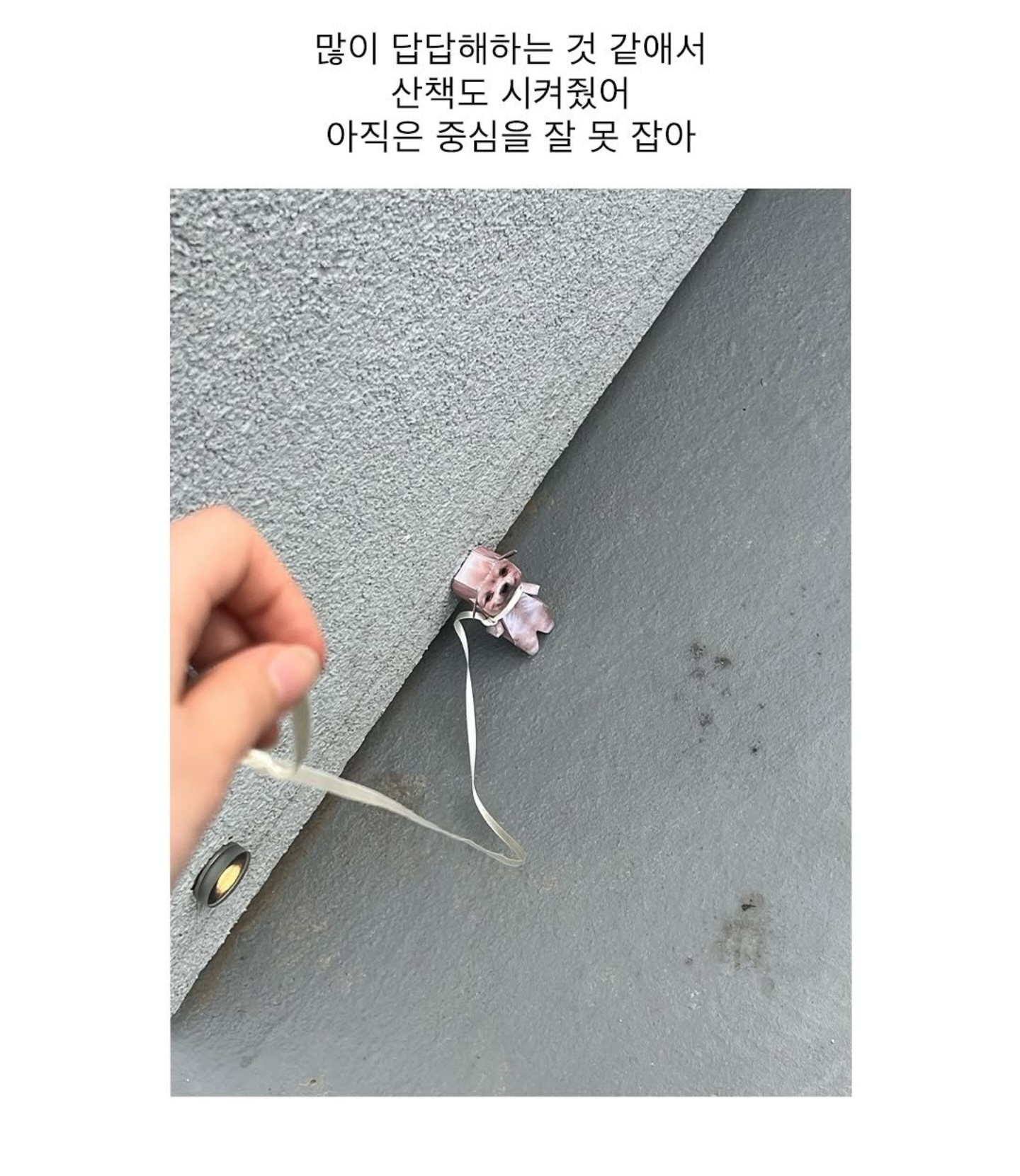 게시물 이미지