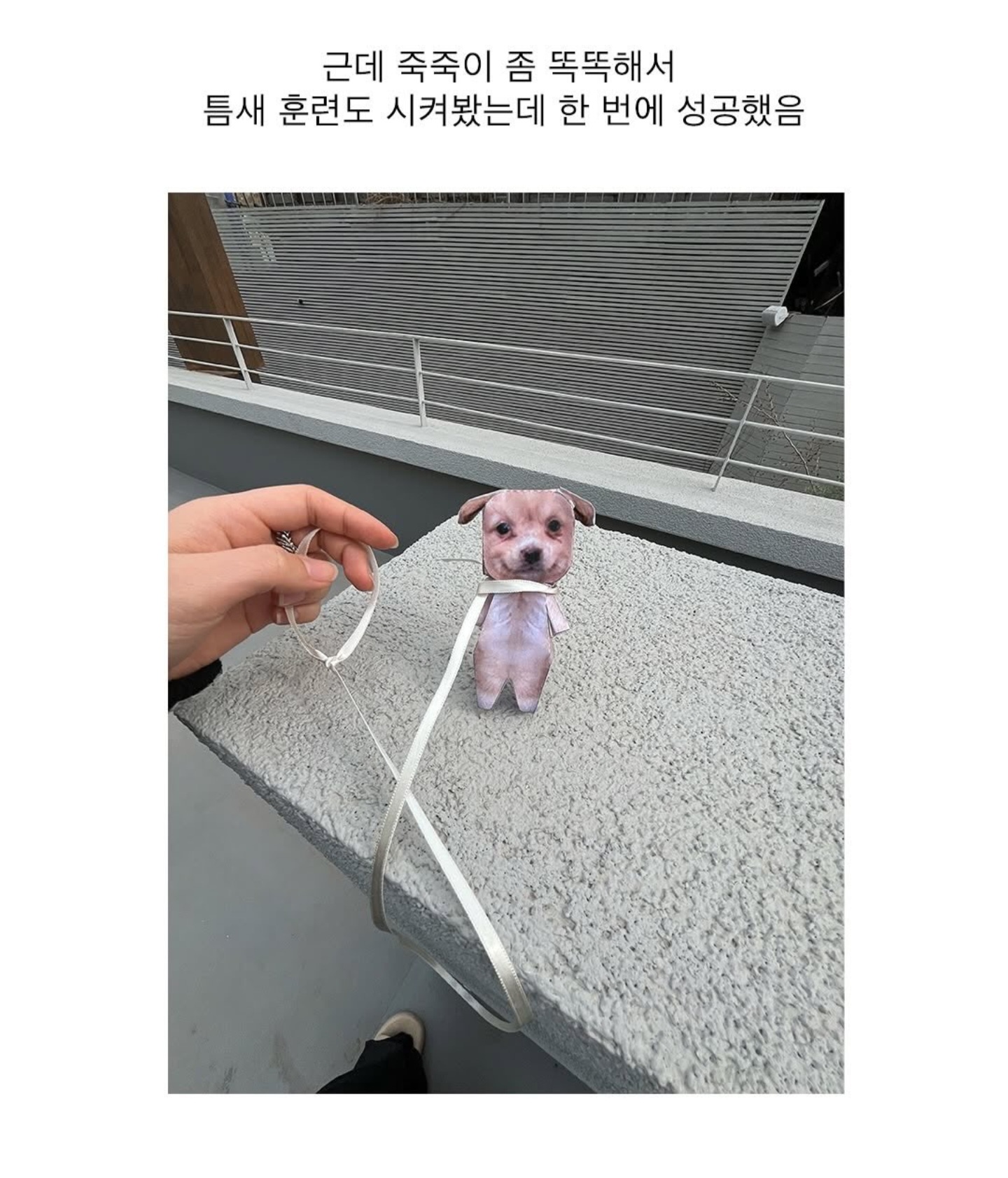 게시물 이미지