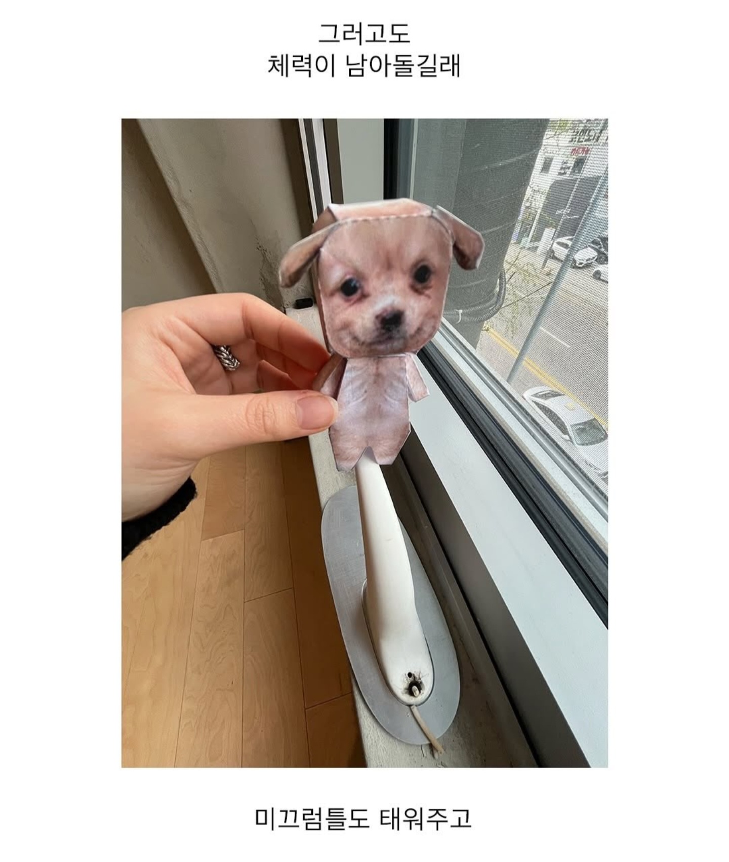 게시물 이미지