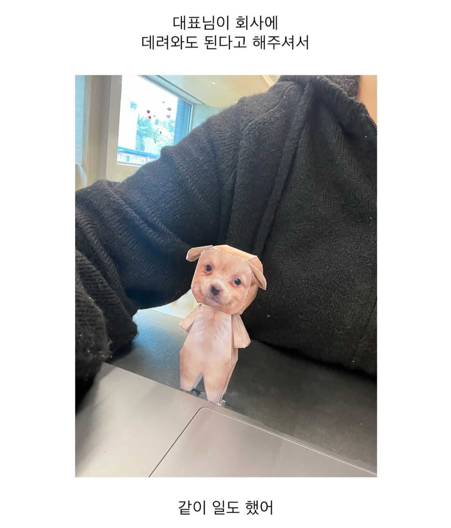 게시물 이미지