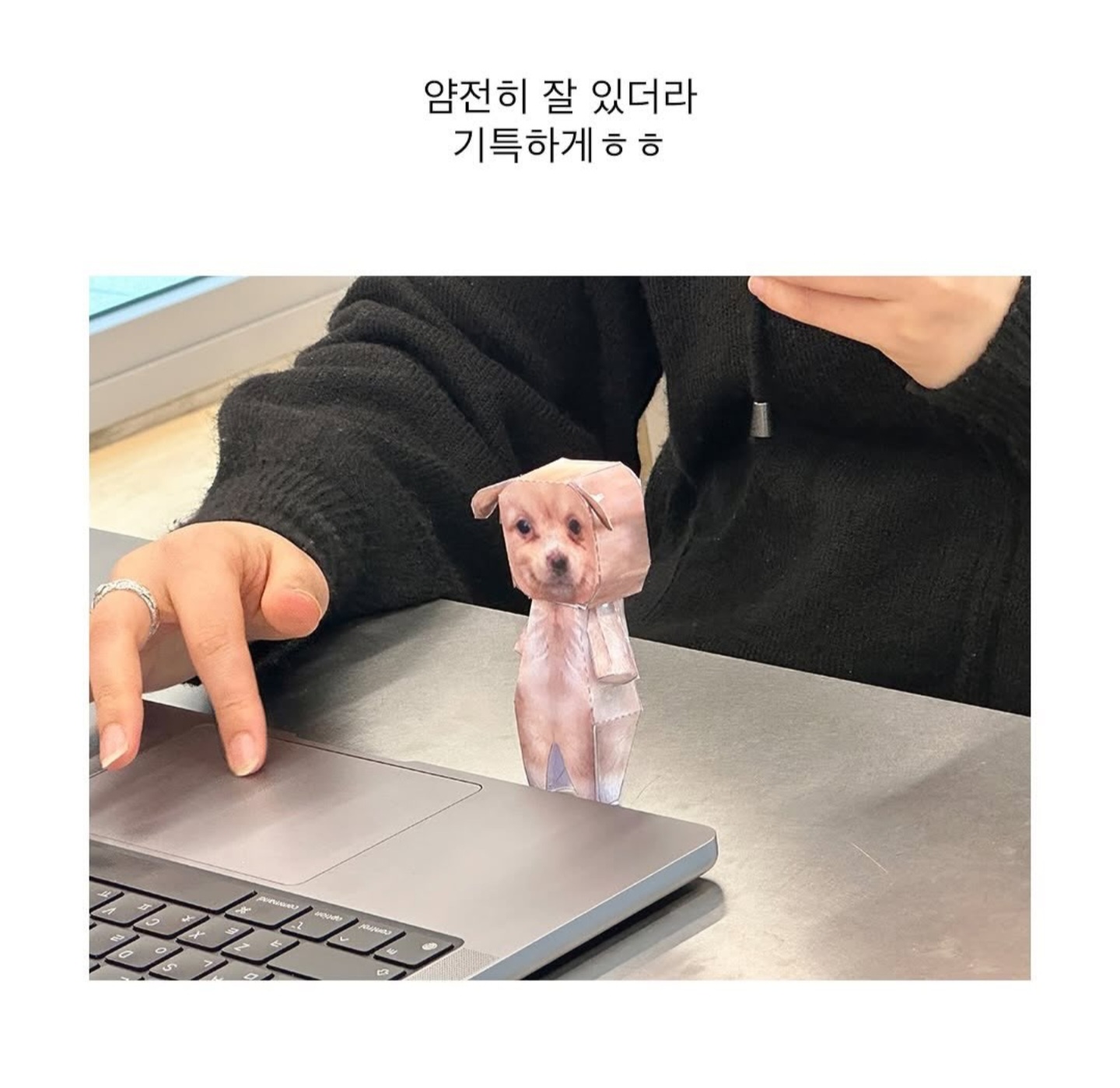 게시물 이미지