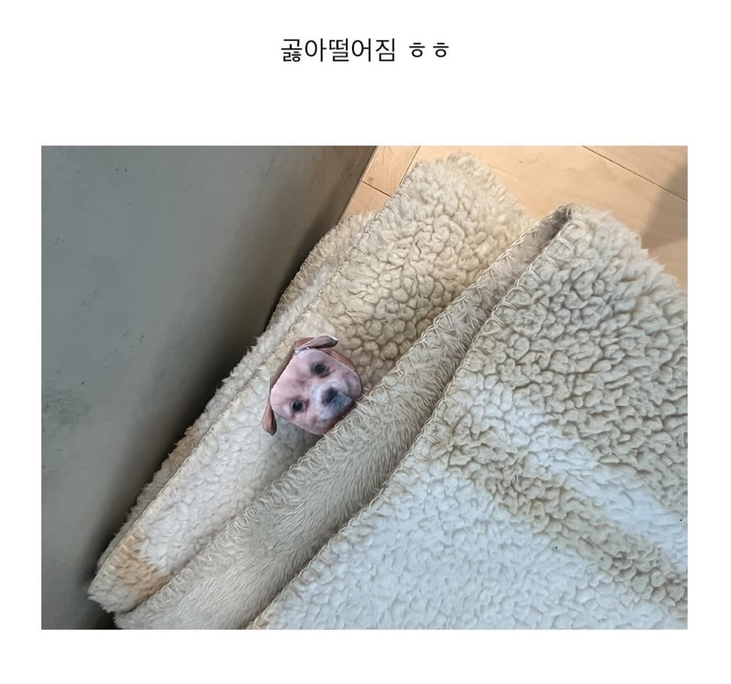 게시물 이미지