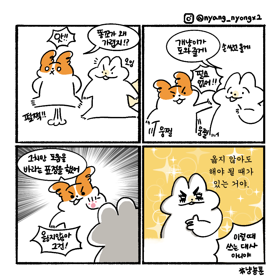 게시물 이미지