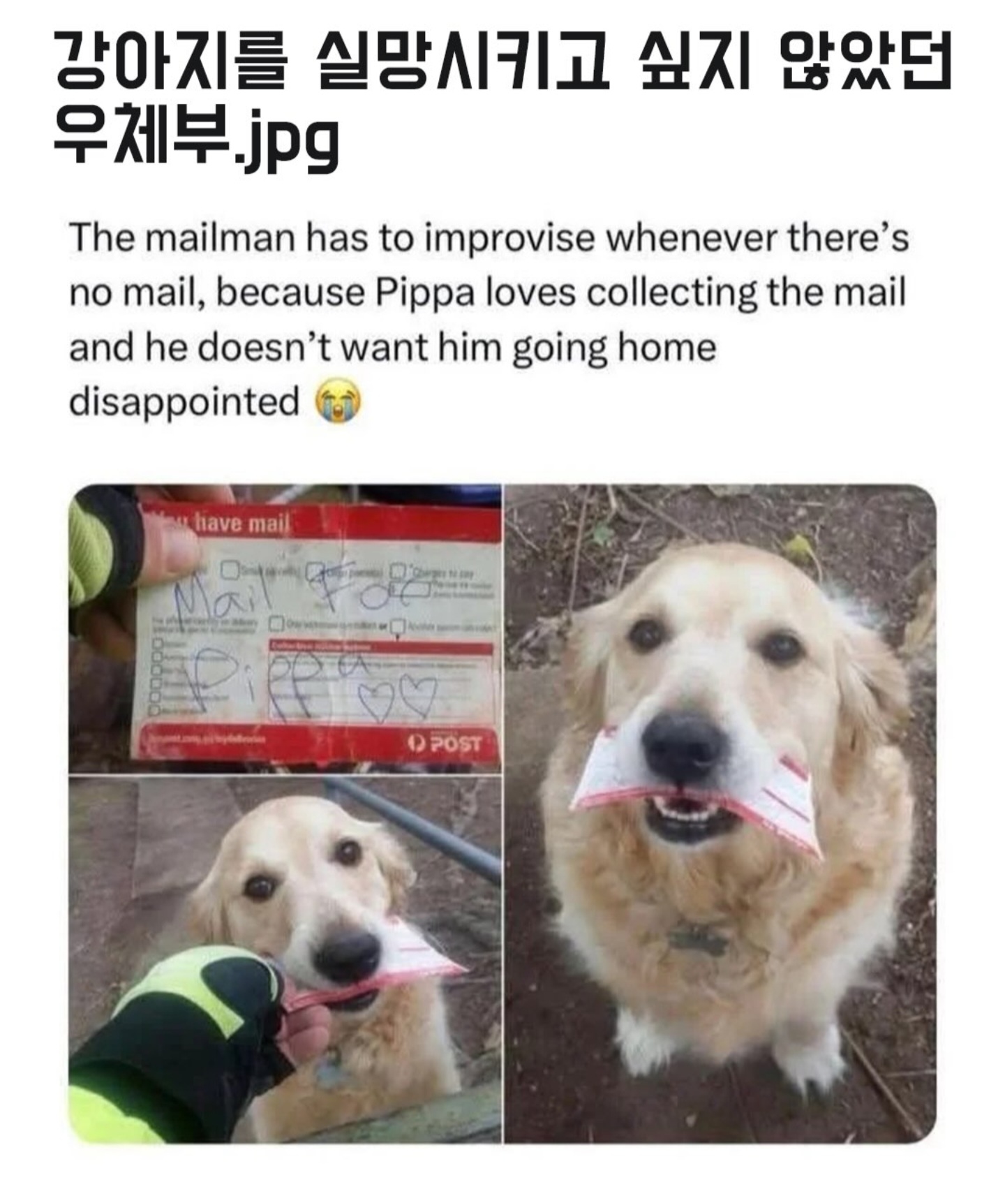 게시물 이미지