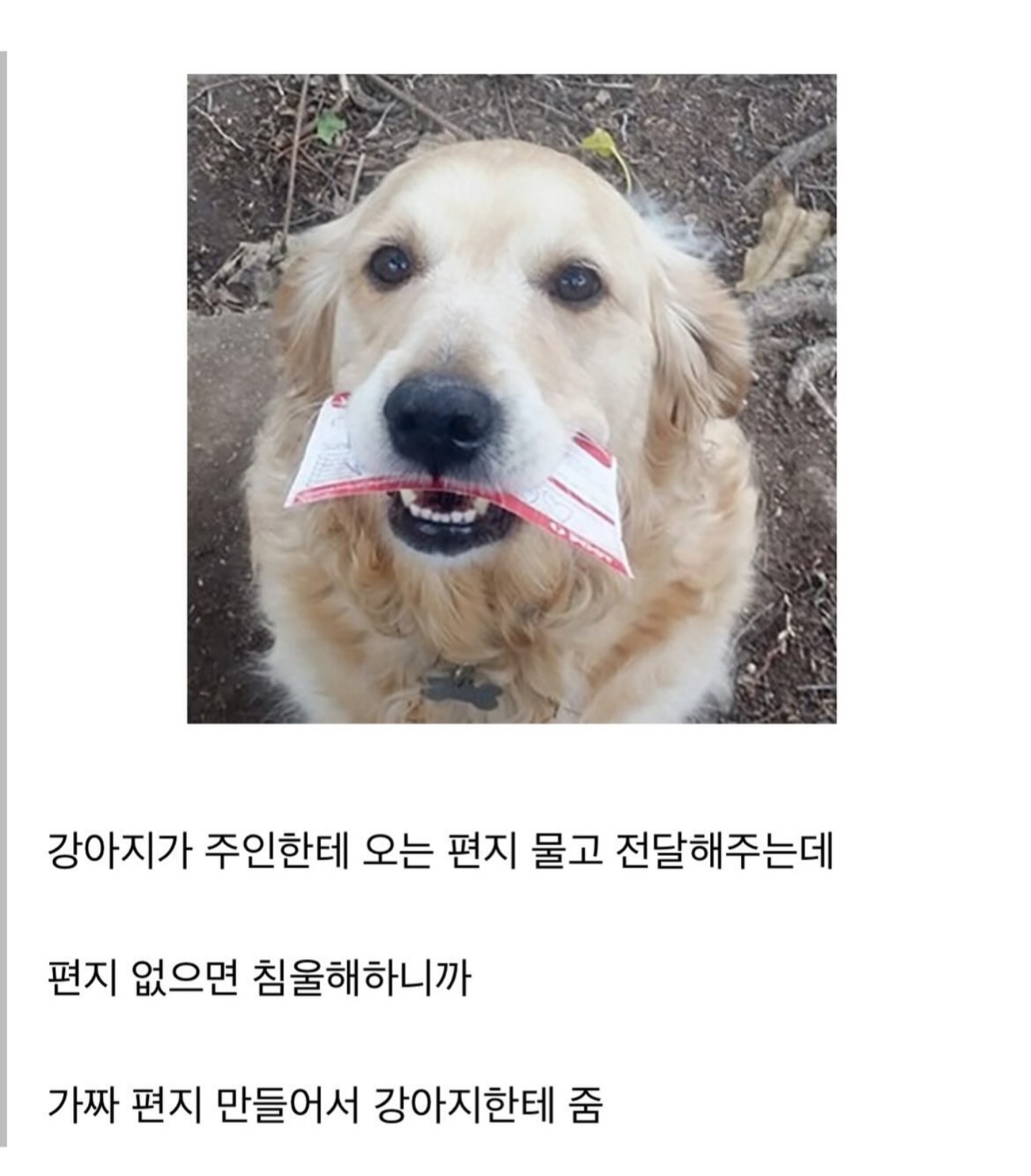게시물 이미지
