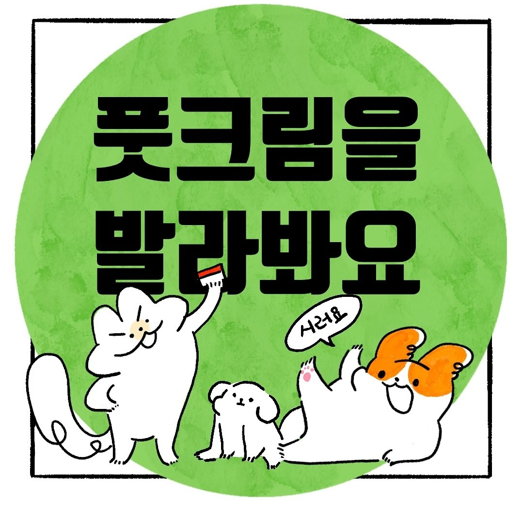 게시물 이미지