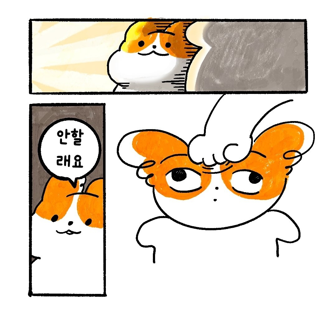게시물 이미지