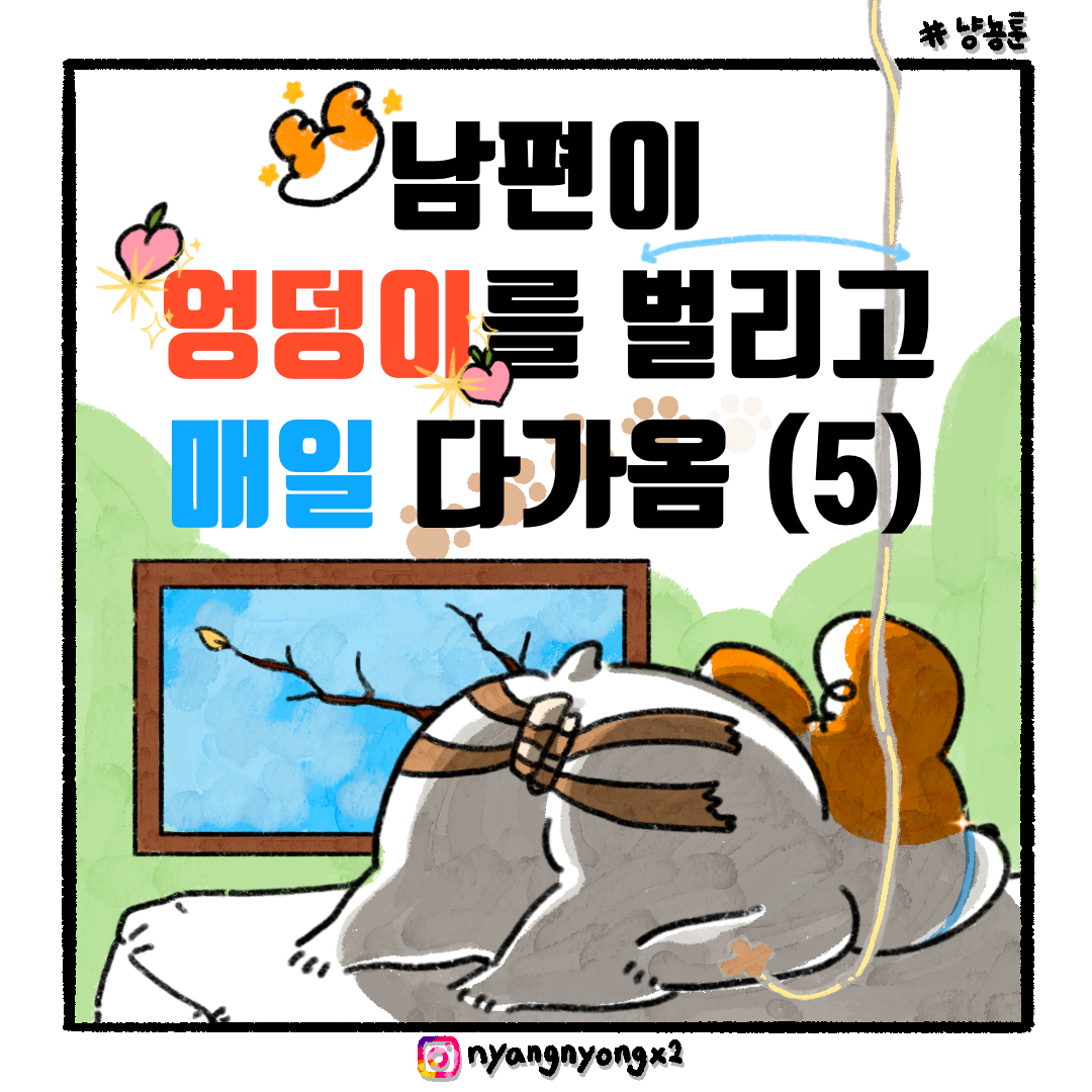게시물 이미지