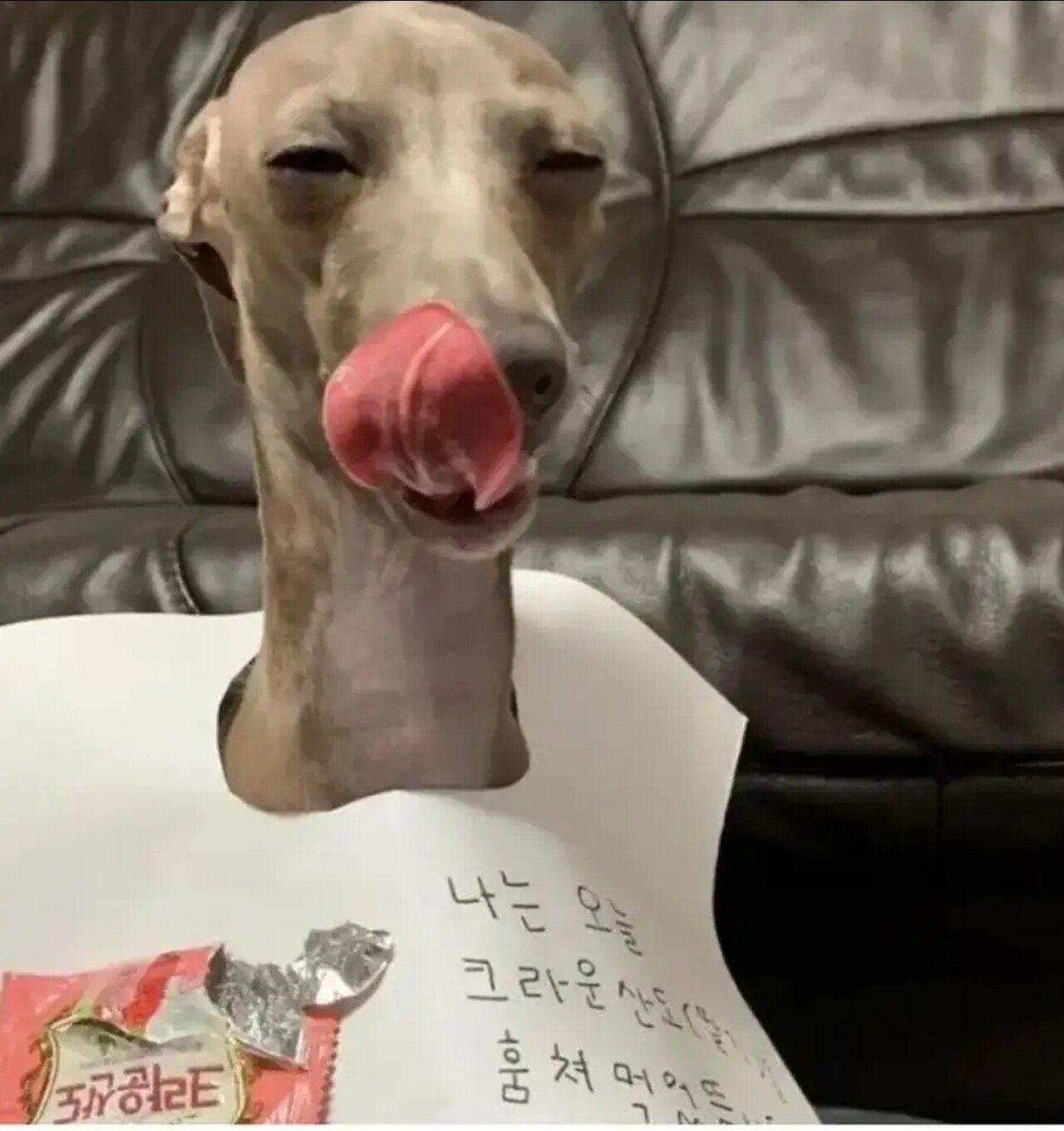 게시물 이미지