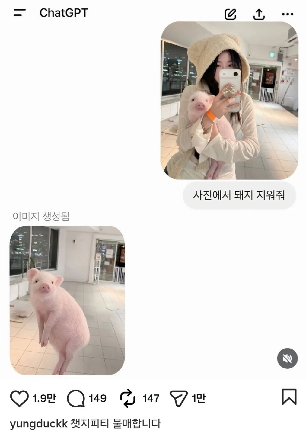 게시물 이미지