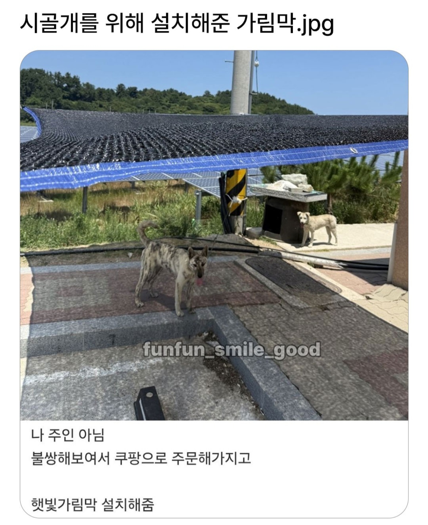 게시물 이미지