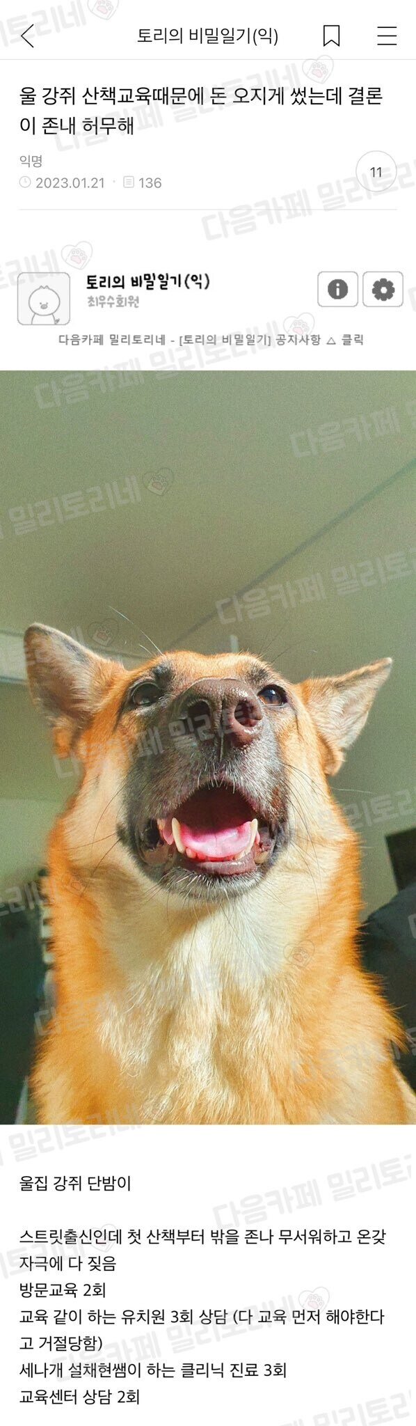게시물 이미지