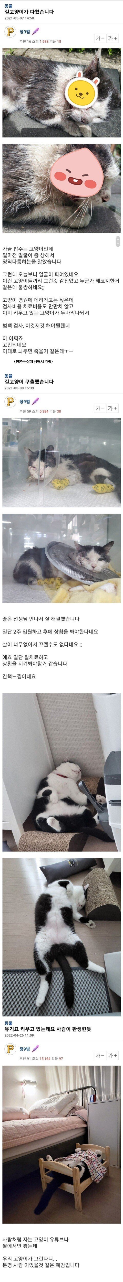게시물 이미지