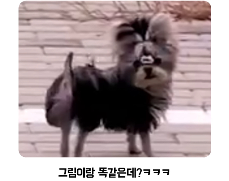 게시물 이미지