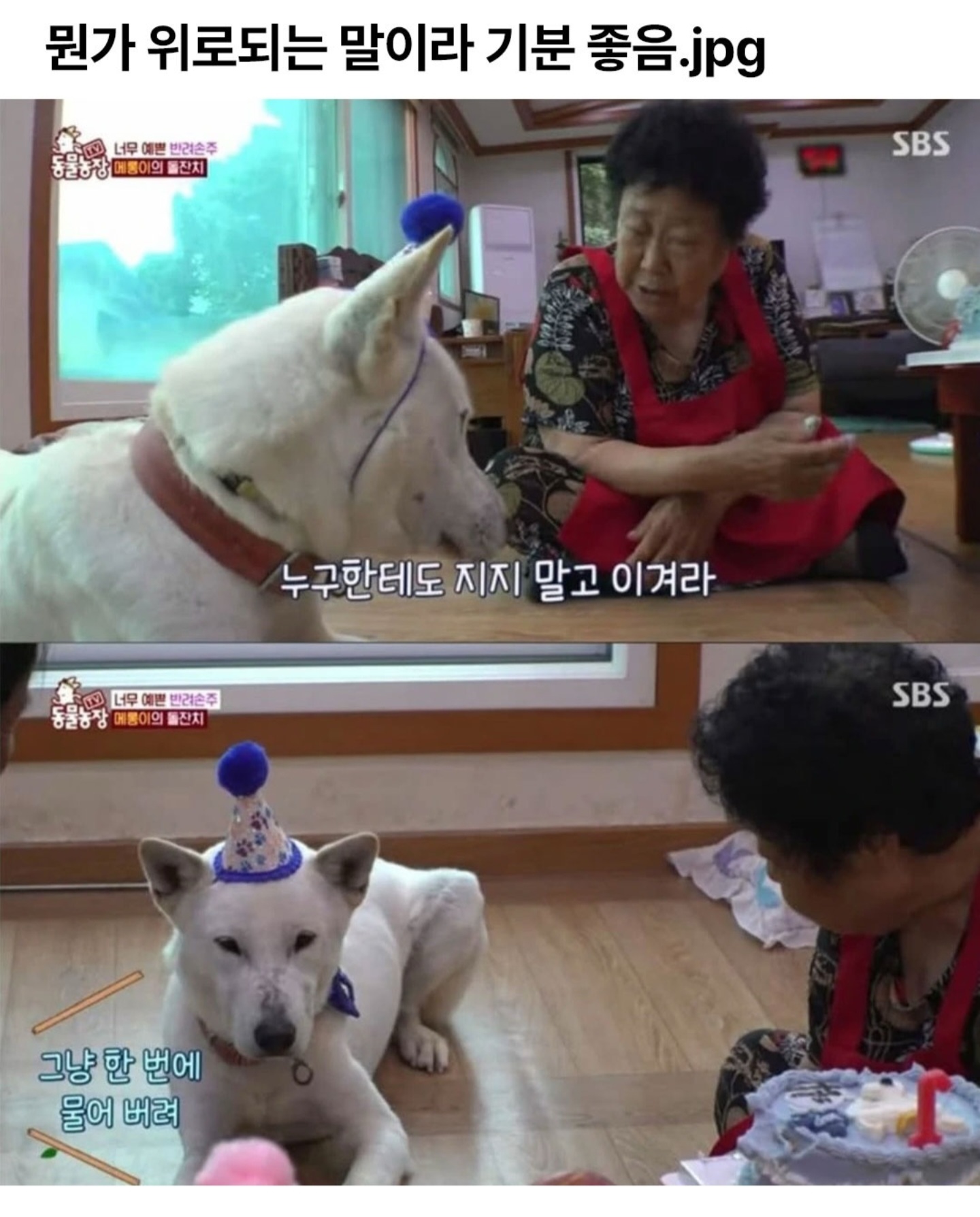 게시물 이미지